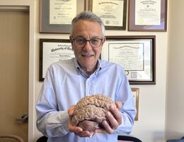 A white male doctor stands in front of a wall with diplomas holding a model of a brain