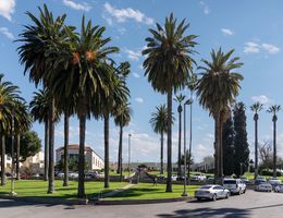 Spanish style building exterior, surrounded by palm trees and a parking lot