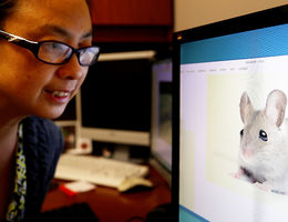 The scientist who sends mice into space The scientist who sends mice into space