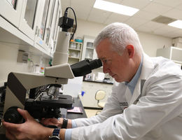 School of Medicine researcher awarded $500,000 to study sepsis prevention