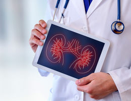 Findings could expand kidney donor options for recipients