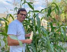 Dr. Anthony Hilliard holds an ear of corn harvested from his garden.