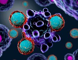 Immune to cancer’s return? The day could be coming Immunotherapy