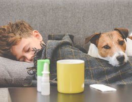 Four reasons your child may be more at risk for flu and serious flu-related complications Dog guarding sick boy sleeping on sofa under plaid stock photo