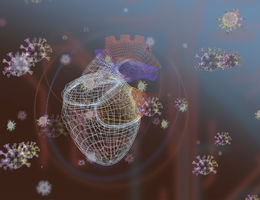 Lingering effects of COVID-19 infection on the heart
