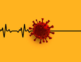 Discerning risks of COVID-19 and flu infections for cardiovascular patients Heart beats stop at viral particle