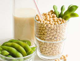Loma Linda University study will find out if a fermented soybean product reduces the risk of heart disease.
