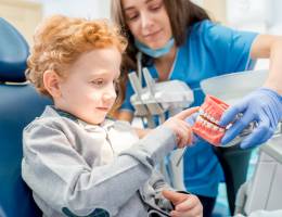 5 myths of dental trauma 5 myths of dental trauma