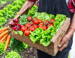 Vegetarian diet good for environment Vegetarian diet good for environment