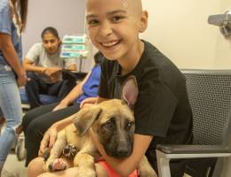 Yucaipa Animal Placement Society teams with Raising Cane's to bring puppies to visit LLU Children's Hospital cancer patients 