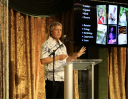 Bill Hayes standin on stage behind a podium with a presentation screen to the side.
