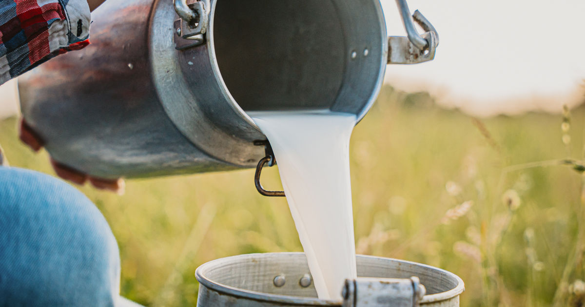 Raw milk – Why experts say you shouldn't drink it | News