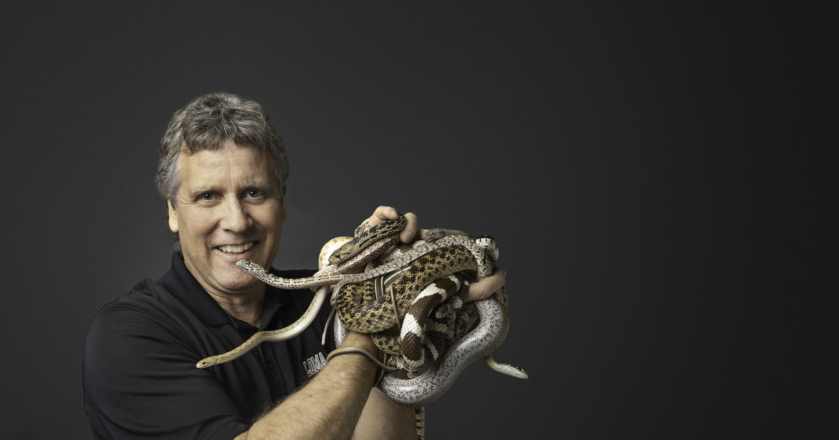 5 questions with Bill Hayes | News