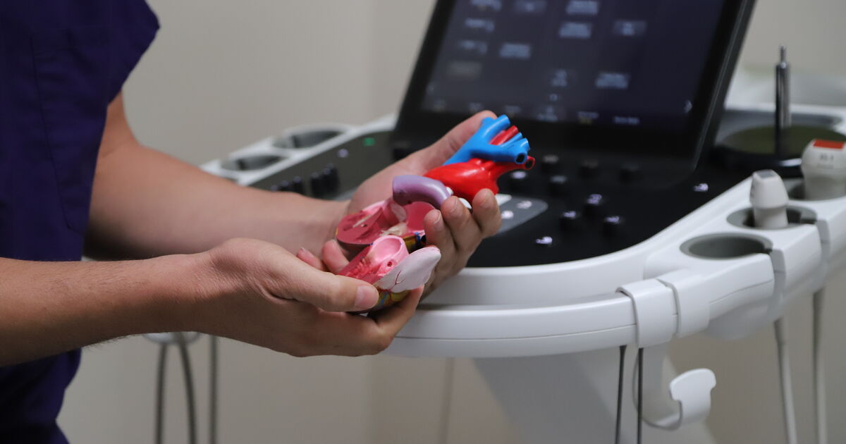 Your baby has been diagnosed with a congenital heart defect, what next?