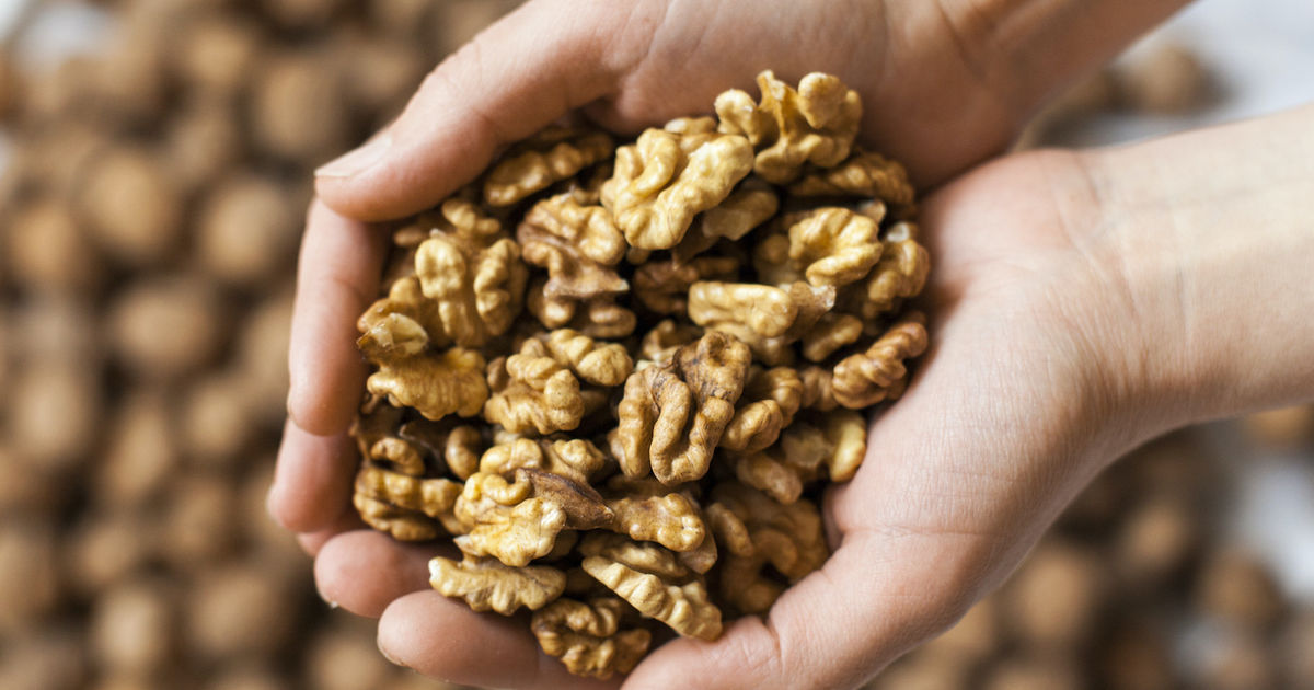 Consuming walnuts can lower cholesterol, reduce risk for heart disease
