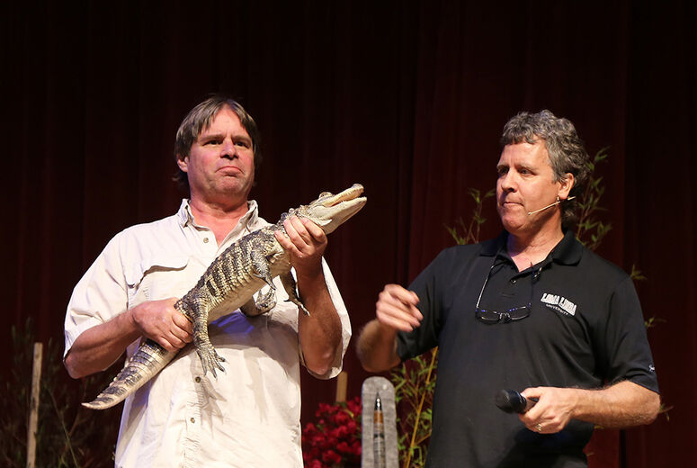Hayes keeps a safe distance from an American Alligator held by Carl Person.