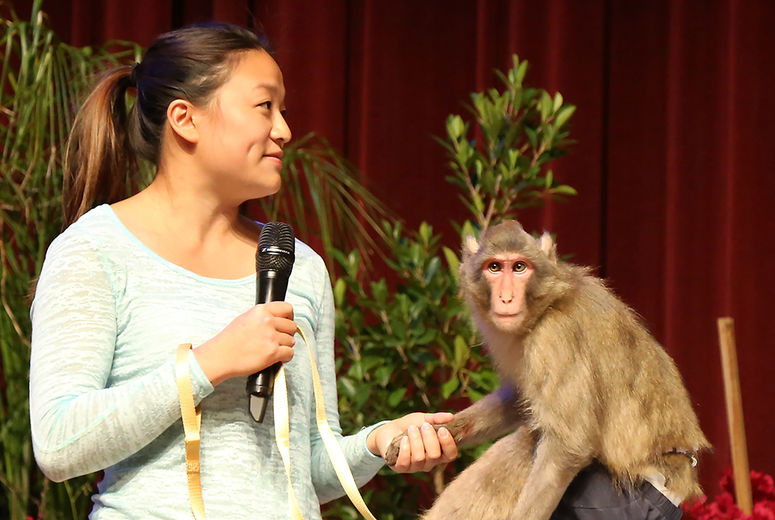 Crystal Chen holds hands with a Snow Macaque from Japan.