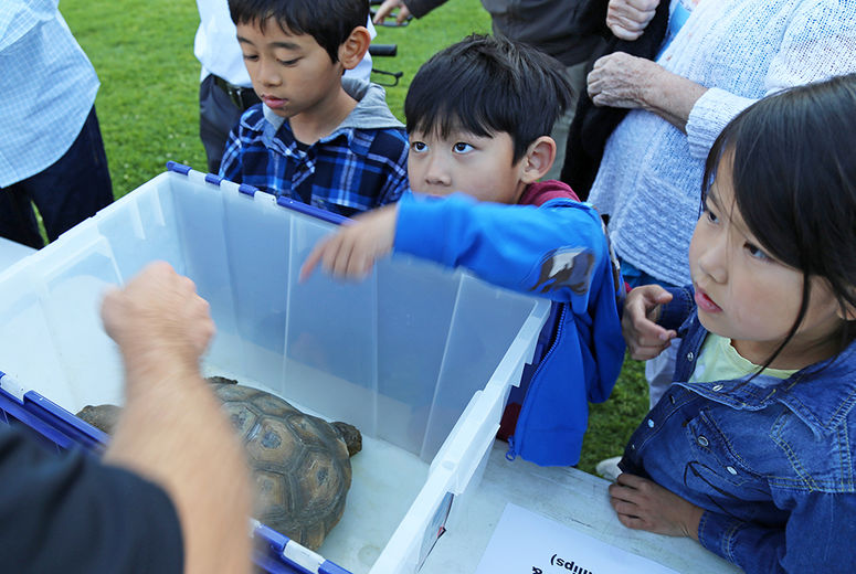 A boy asks permission to pet a Desert Tortoise. A moment later, he got his wish.