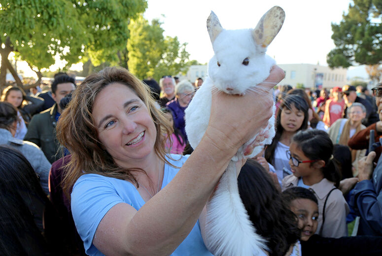 Andrea Burgan and Rufus the Chinchilla. The species is almost extinct in the wild.