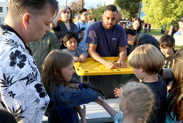 Most kids get over their fear of snakes once they meet a pet like this Black Racer. 