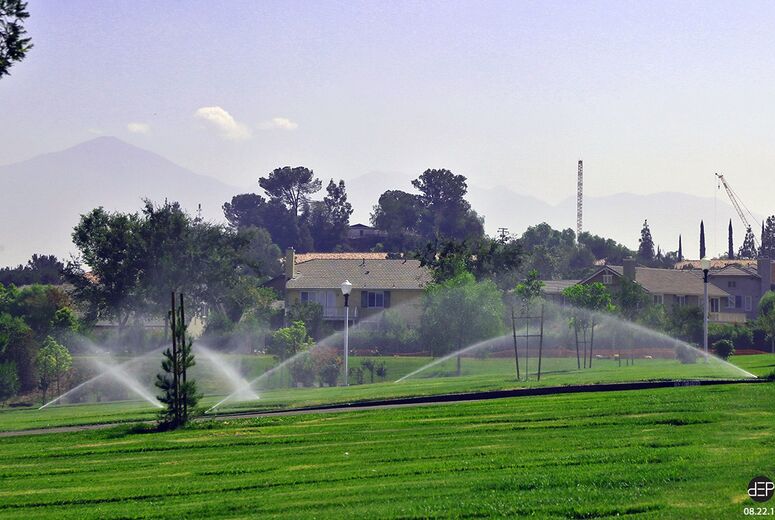 View of construction site cranes from Montecito Memorial Park.