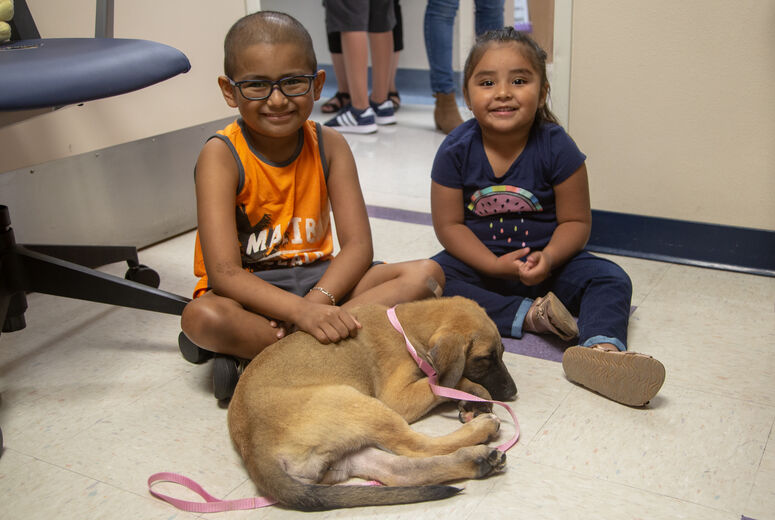 Patient Edgar Rodriguez, 7, with sister Janelly, 4, playing with one puppy that lies by their feet.