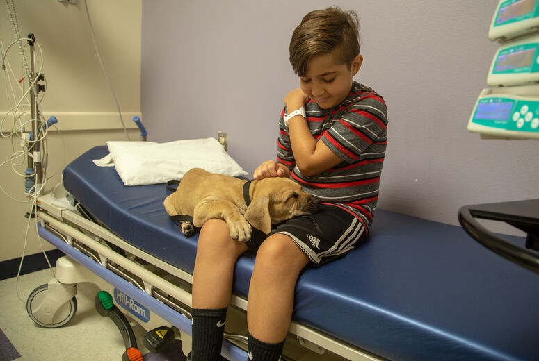 One puppy falls asleep on patient Caiden Josa, 10, from Beaumont, California.